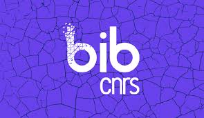 logo BIBCNRS